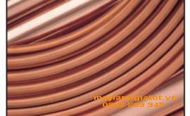 Ống đồng cây Crane Copper Tube
